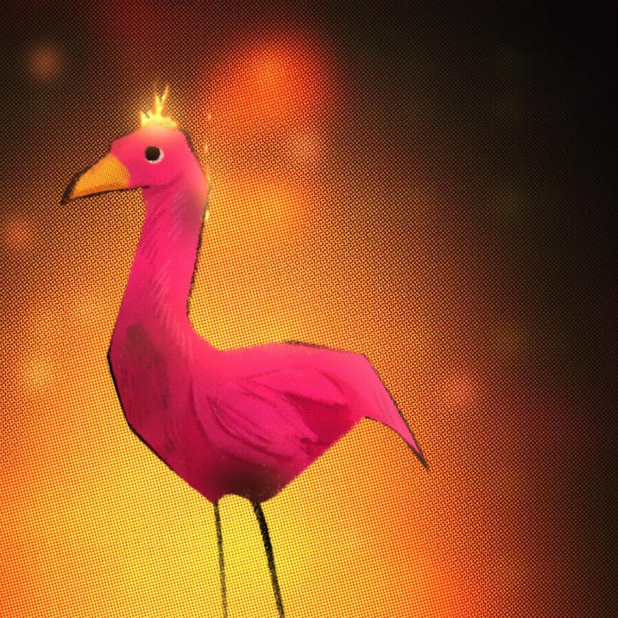 flamingo, 2022. digital illustration (done in procreate).