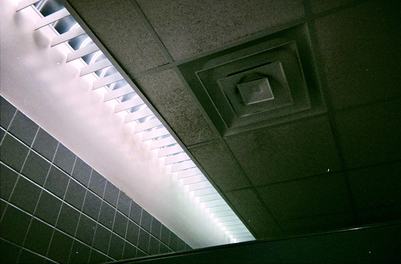 ew, 2023. digital photograph.