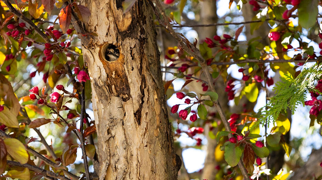 who, me?, 2022. digital photograph.