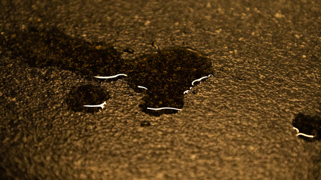 effect, 2022. digital photograph.